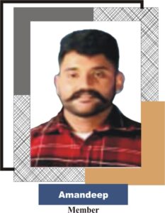 Powerlifting Sports Organization PSO